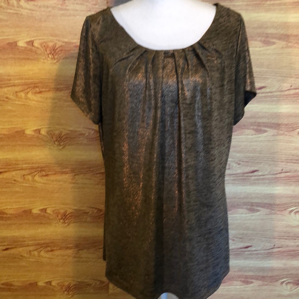 JCPenney Worthington bronze shimmery blouse sz 0x
